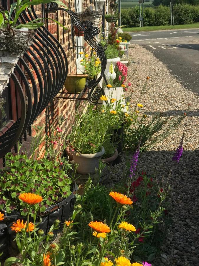 Yarm Cottages Sleeping 12 Kirklevington Екстер'єр фото